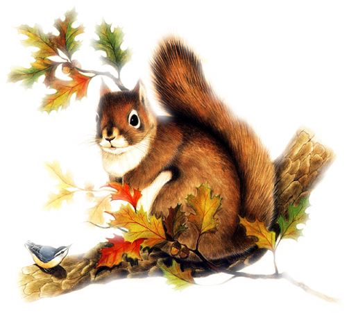 őszi állatok_170.png